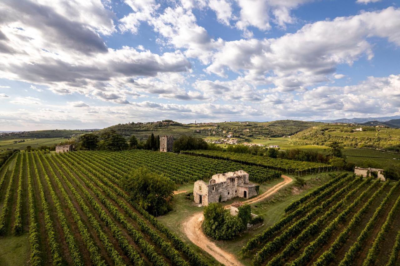 Agriturismo Monte Bisson Soave  Extérieur photo