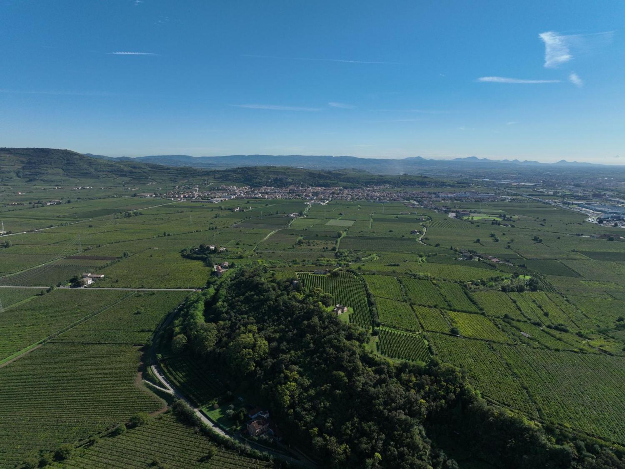 Agriturismo Monte Bisson Soave  Extérieur photo
