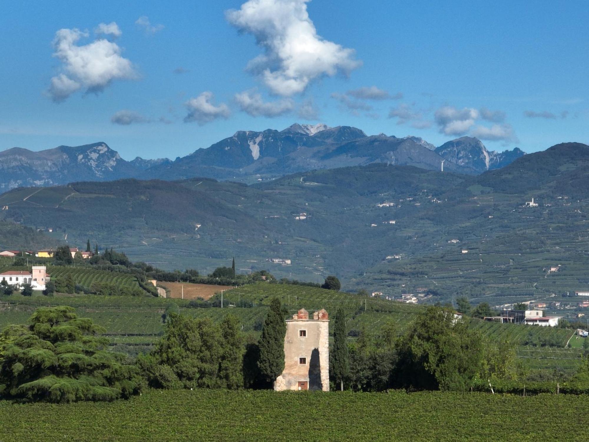 Agriturismo Monte Bisson Soave  Extérieur photo